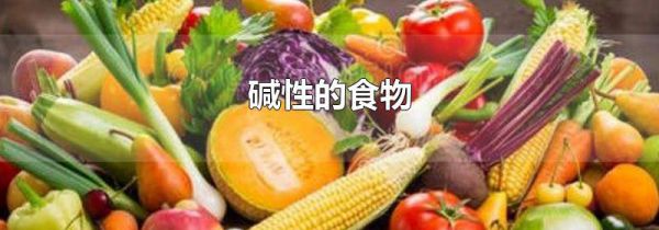 碱性的食物