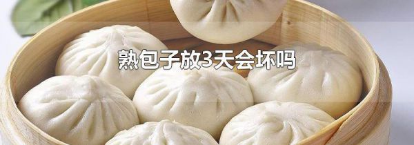 熟包子放3天会坏吗