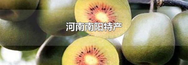 河南南阳特产