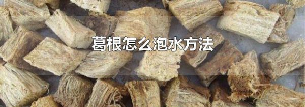 葛根怎么泡水方法