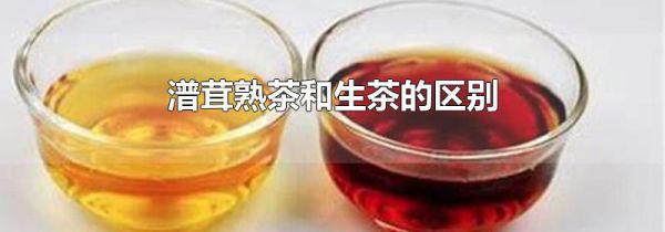 潽茸熟茶和生茶的区别