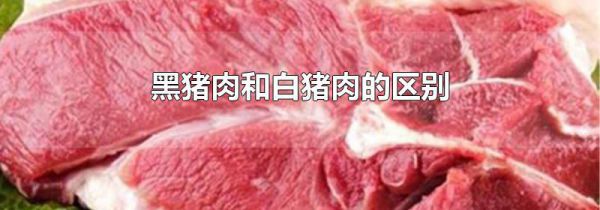 黑猪肉和白猪肉的区别