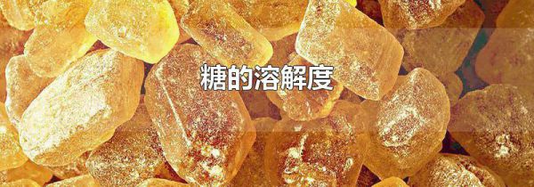 糖的溶解度