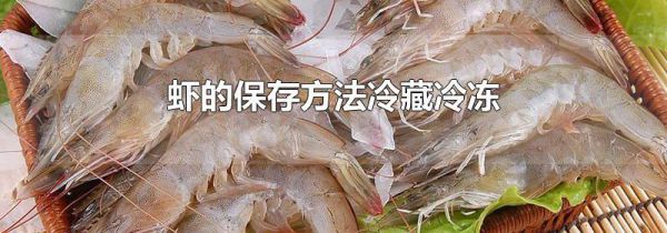 虾的保存方法冷藏冷冻