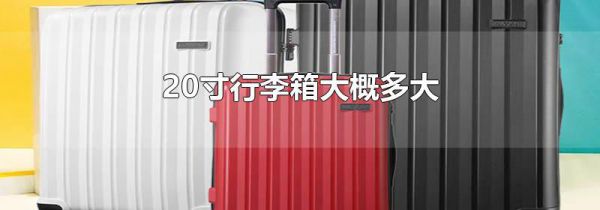 20寸行李箱大概多大