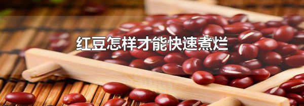 红豆怎样才能快速煮烂