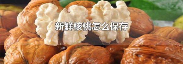 新鲜核桃怎么保存