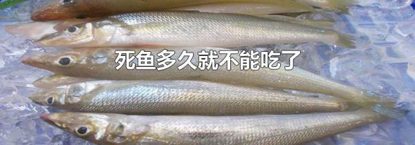死鱼多久就不能吃了