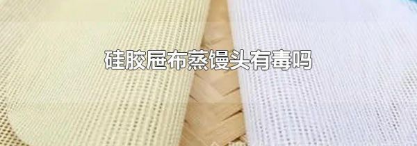 硅胶屉布蒸馒头有毒吗