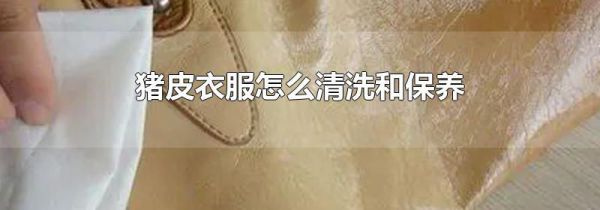 猪皮衣服怎么清洗和保养