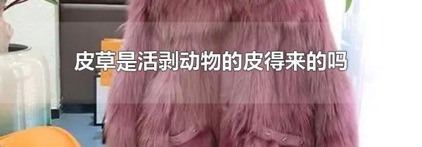 皮草是活剥动物的皮得来的吗