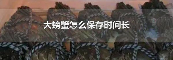 大螃蟹怎么保存时间长