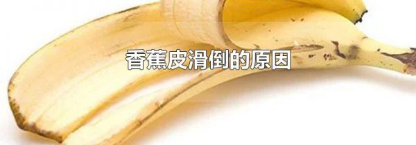 香蕉皮滑倒的原因