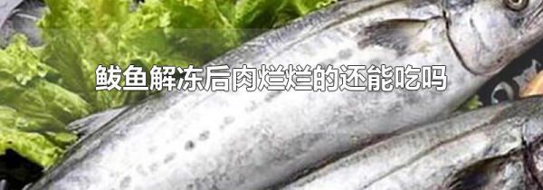鲅鱼解冻后肉烂烂的还能吃吗