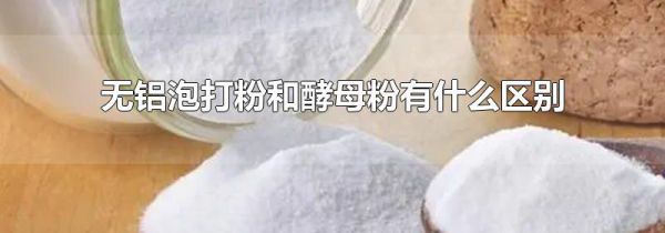 无铝泡打粉和酵母粉有什么区别