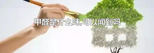 甲醛是什么味,可以闻到吗