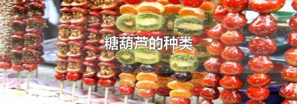 糖葫芦的种类