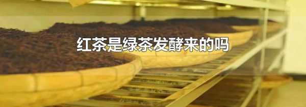 红茶是绿茶发酵来的吗