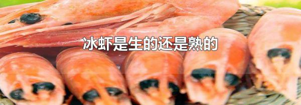 冰虾是生的还是熟的
