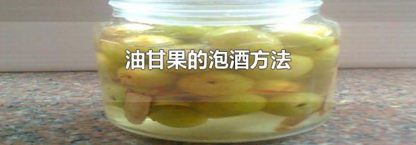 油甘果的泡酒方法