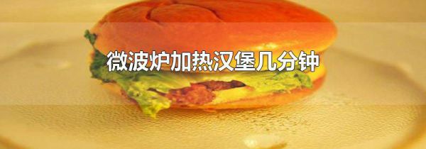 微波炉加热汉堡几分钟