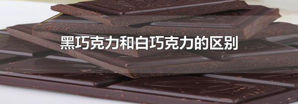 黑巧克力和白巧克力的区别