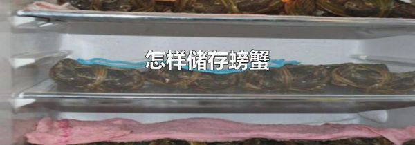 怎样储存螃蟹