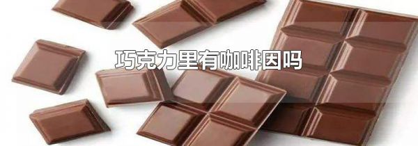 巧克力里有咖啡因吗