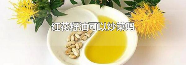 红花籽油可以炒菜吗
