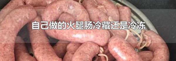 自己做的火腿肠冷藏还是冷冻
