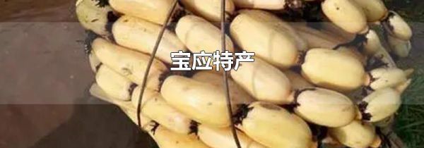 宝应特产