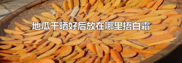 地瓜干晒好后放在哪里捂白霜