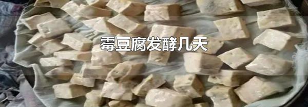 霉豆腐发酵几天
