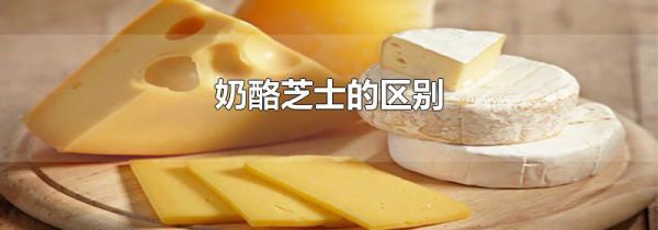 奶酪芝士的区别