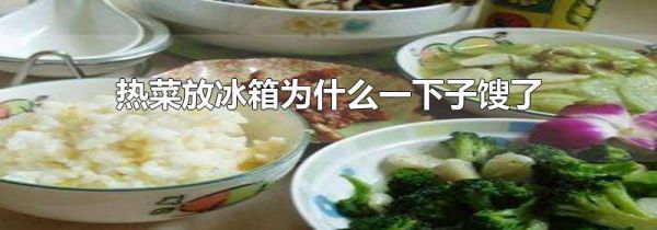 热菜放冰箱为什么一下子馊了