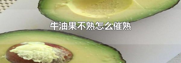 牛油果不熟怎么催熟