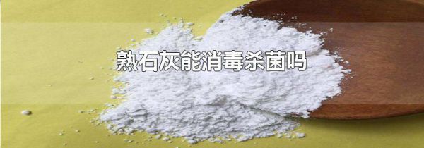 熟石灰能消毒杀菌吗