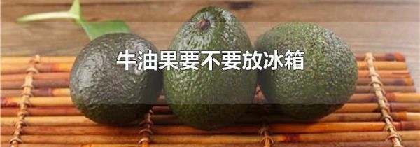 牛油果要不要放冰箱