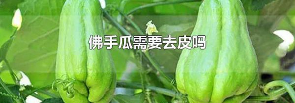 佛手瓜需要去皮吗