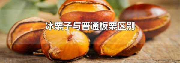 冰栗子与普通板栗区别