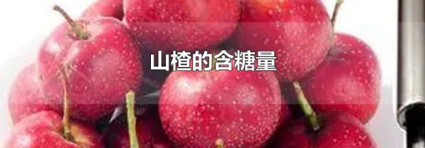 山楂的含糖量
