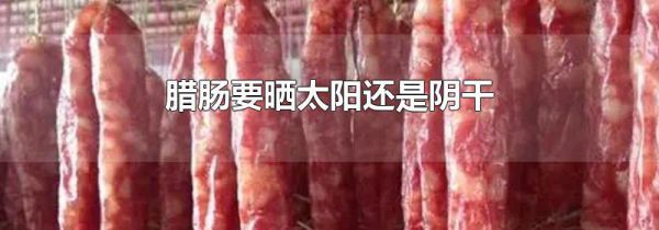 腊肠要晒太阳还是阴干