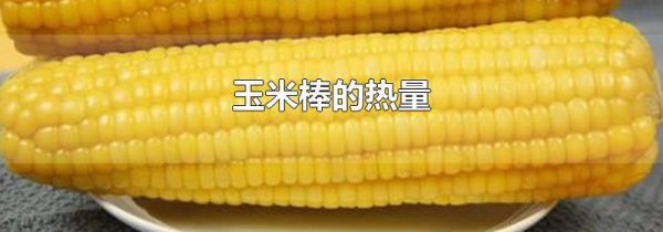 玉米棒的热量