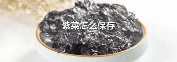 紫菜怎么保存