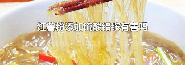 红薯粉添加硫酸铝铵有害吗