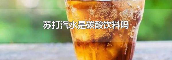 苏打汽水是碳酸饮料吗