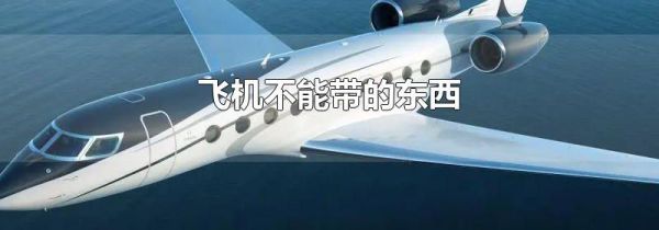 飞机不能带的东西
