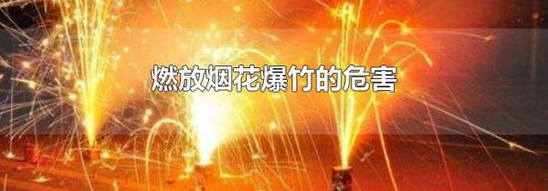 燃放烟花爆竹的危害