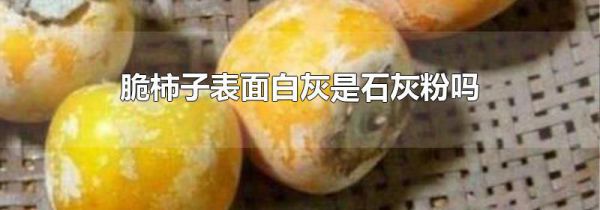 脆柿子表面白灰是石灰粉吗