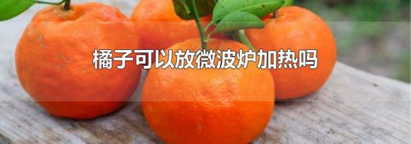 橘子可以放微波炉加热吗
